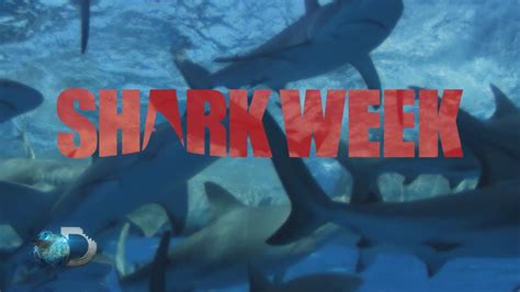 Discovery Shark Week 2014 Youtube