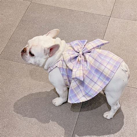 French Bulldog Purple Plaid Skirt/puppy JK Dress/small Dog - Etsy