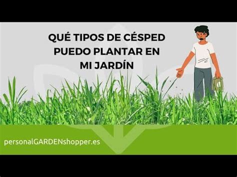 Tipos De Césped Argentina • TIPOSDE