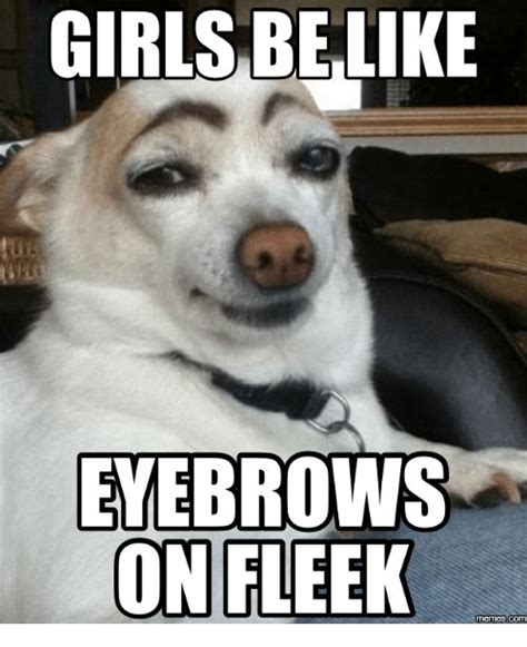 On Fleek Funny