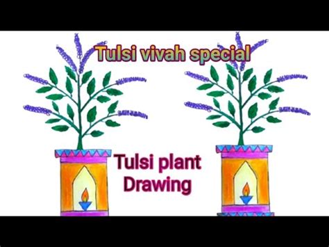 How To Draw Tulsi Plant Tulsi Drawing Easy Tulsi Vivah Festival