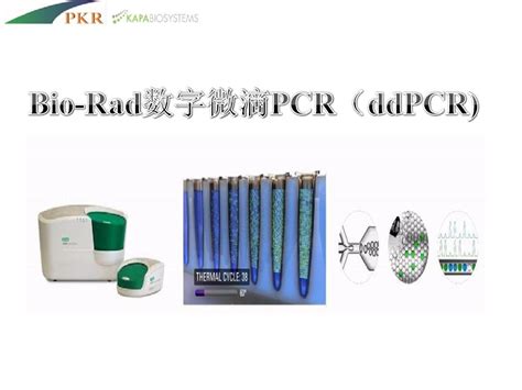 BioRad数字微滴PCR word文档免费下载 亿佰文档网