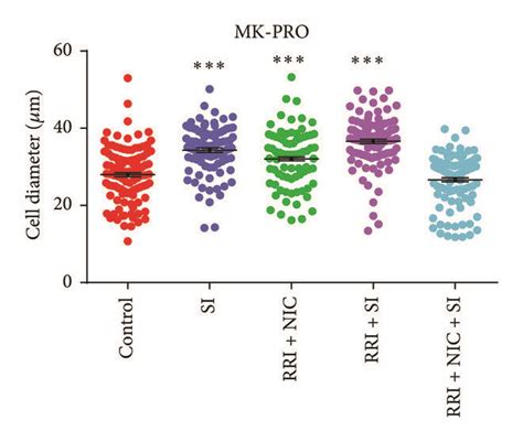 The Combination Of Small Molecules For Polyploidization In Mks A