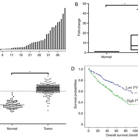 Knockdown Of Pvt1 Inhibits Proliferation Induces Apoptosis And