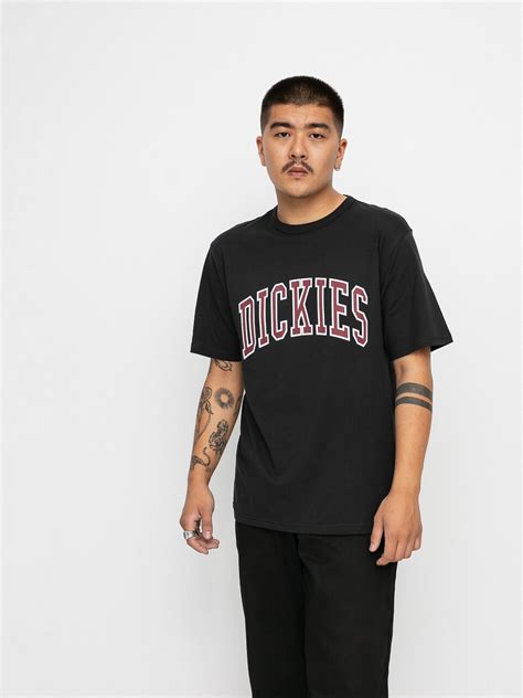 Dickies Aitkin T Shirt Black