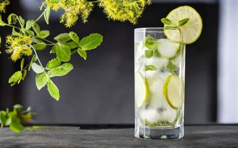 Premium Photo | Mint Mojito Cocktail 2