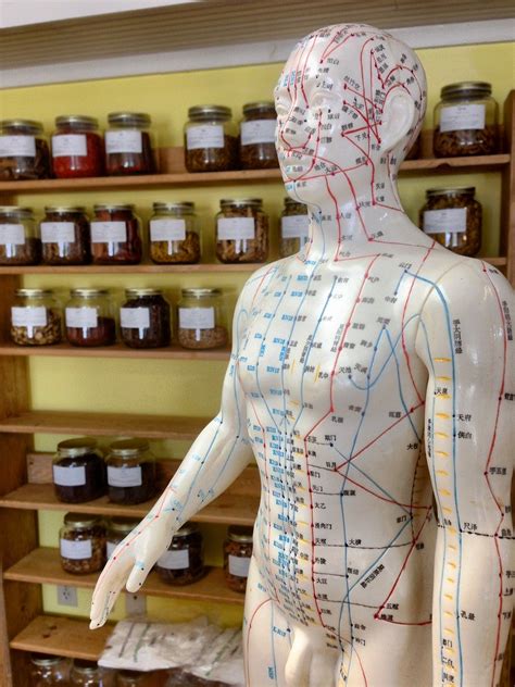 Acupuncture A Key Part Of Chinese Medicine Healthy Life Essex