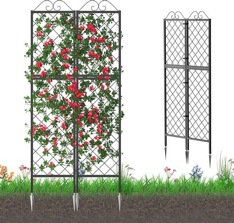 Pack Metal Garden Trellises For Climbing Plants Inch Tall Metal