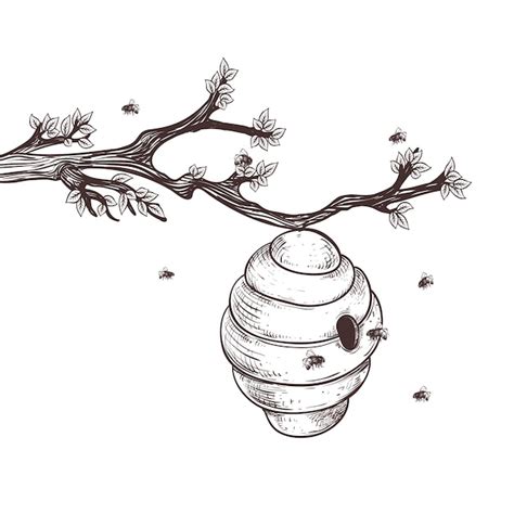 Illustration De Dessin D Abeille Dessin La Main Vecteur Gratuite