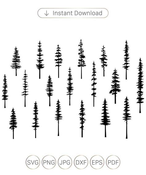 Pine Tree Silhouette Evergreen Pine Tree Svg