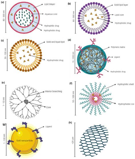 Cancers Free Full Text Advanced Nanoparticle Based Drug Delivery