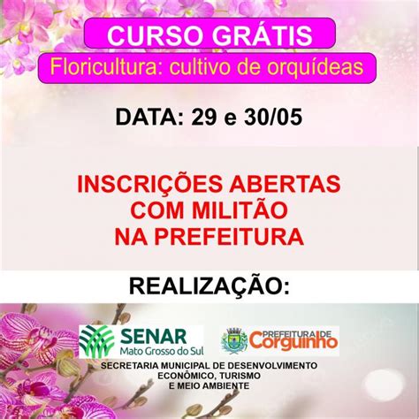 Curso De Floricultura Cultivo De Orqu Deas Poder Executivo De