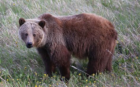 Stories about Waterton Lakes National Park Travel