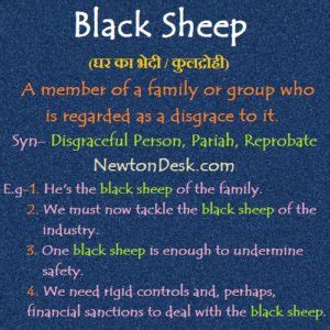 Black sheep words and expressions flashcards | Newton Desk