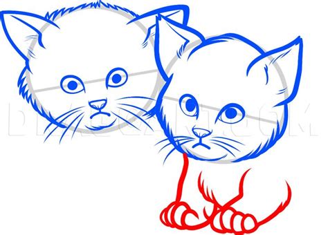 How To Draw Baby Kittens, Baby Kittens, Step by Step, Drawing Guide, by ...