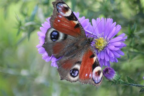 Natur Beginnt Vor Der Eigenen T R Wir M Ssen Sie Nur Genau Betrachten