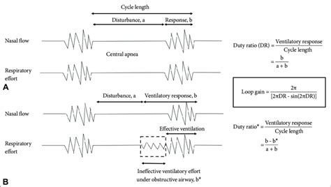 Analyzed metrics of Cheyne-Stokes breathing and estimated loop gain ...