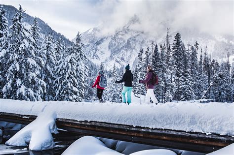 Top 10 Things To Do In Jackson Hole In Winter The Wort Hotel