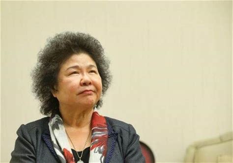 「批菊」挨告謝寒冰獲判無罪 陳菊上訴 新聞 中時