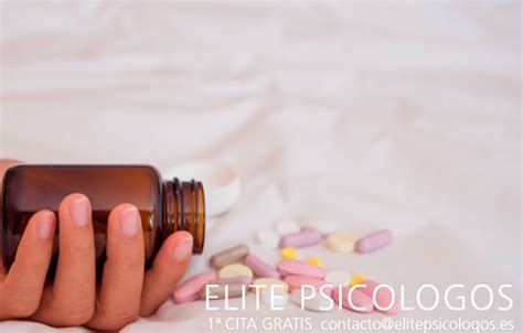 Psicobioticos Los Probioticos Para La Salud Mental Elitepsicologos