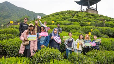 中國名茶之都·黃山 2023第十七屆太平猴魁茶文化旅遊節暨茶王慶活動成功舉辦中國網 韻動安徽