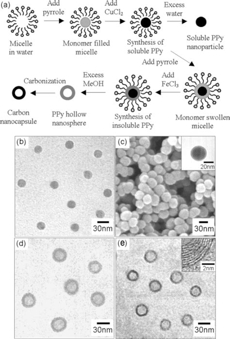 A Schematic Diagram Of The Microemulsion Fabrication Of Polypyrrole