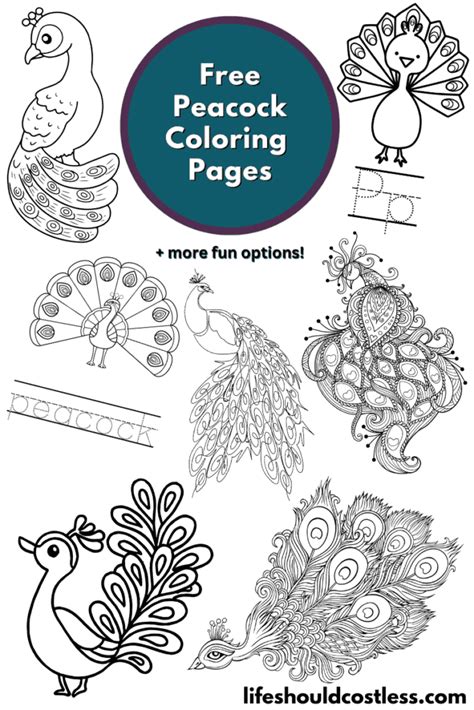 Peacock Coloring Pages (free printable PDF templates) - Life Should ...