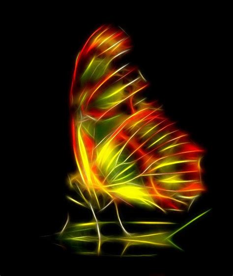 Butterfly | Fractal art, Fractals, Fractal images