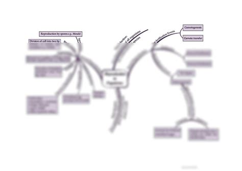 Solution Reproduction In Organismsmind Map Studypool