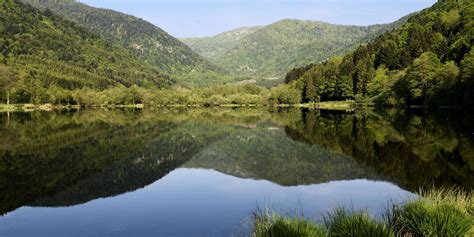 Hiking in the Vosges Mountains | Mulhouse Tourist Office