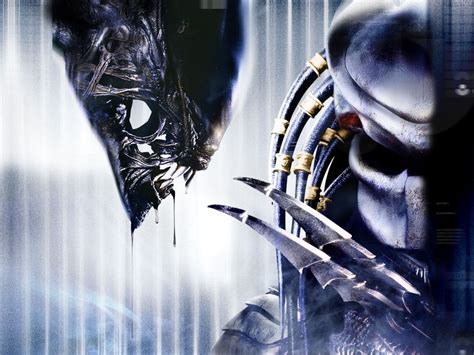 Alien Versus Predator Digital Wallpaper Alien Vs Predator Aliens HD