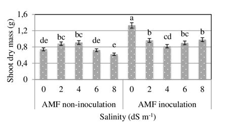 Effect Of Irrigation Water Salinity And AMF Inoculation On Shoot Dry