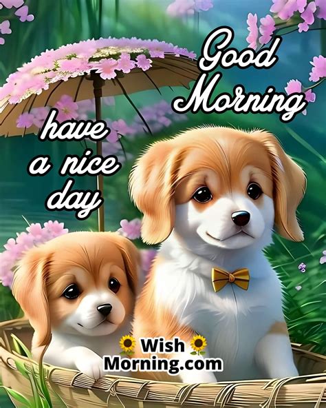 Good Morning Dog Images - Wish Morning