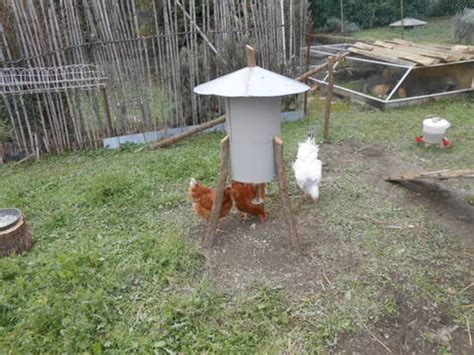 Mangeoire Poule Fait Maison Ventana Blog