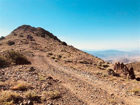 Wild Mustangs Tour - Virginia Range, Nevada - 07/14/2018 | OVERLAND BOUND COMMUNITY