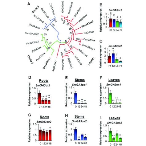 Phylogenetic Analysis Of Ga Ox Proteins And Expression Profiling Of