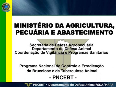 MINISTÉRIO DA AGRICULTURA PECUÁRIA E ABASTECIMENTO ppt carregar