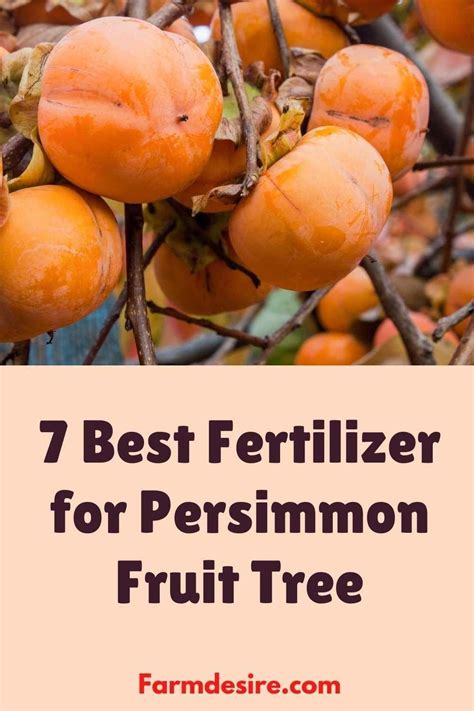 Fruit Tree Fertilizer Guide Home And Garden Reference