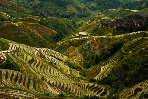 Steep Rice Terrace Mountain Titian Longji Overcast Stock Image Image