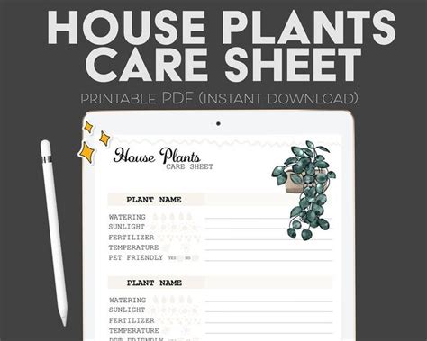 House Plants Care Sheet Digital Printable A4 Pdf Etsy Canada House