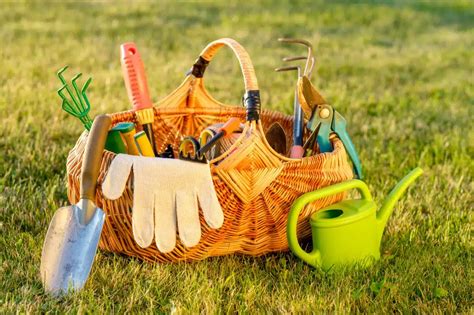 Outils De Jardinage Lesquels Pour Les D Butants