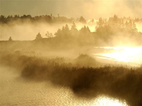 landscapes, Sunrise, Fog, Mist, Sunlight, Reflection, Trees, Islands Wallpapers HD / Desktop and ...