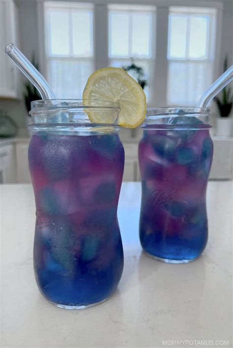 Butterfly Pea Flower Lemonade Recipe