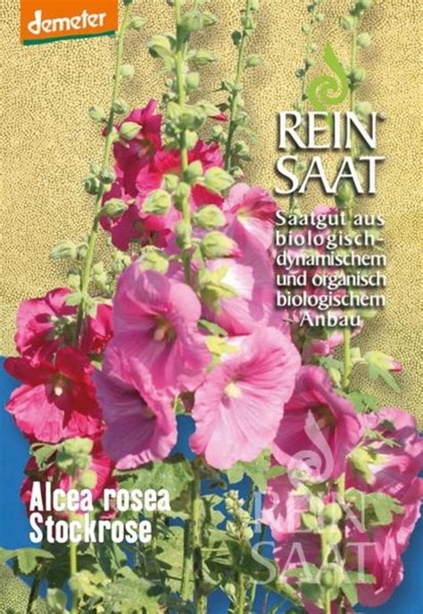 ReinSaat Stockrose Alcea Rosea Fl Pl 1 Packung Bloomling Schweiz