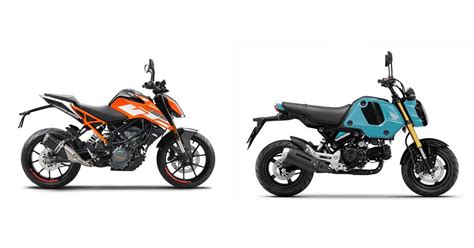 Motorrad Vergleich Ktm Duke Vs Honda Msx Grom