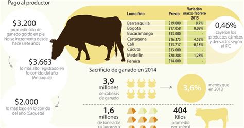 El costo de la carne de res en España análisis y perspectivas XanCouso