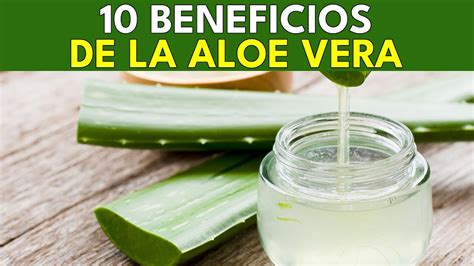 10 Beneficios Saludables De La Aloe Vera Youtube