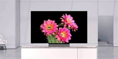 Vizio 65-Inch OLED 4K TV Review: a Budget-Friendly OLED