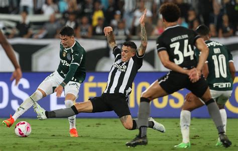 Libertadores Vidente Surpreende E Crava Vencedor Entre Palmeiras X