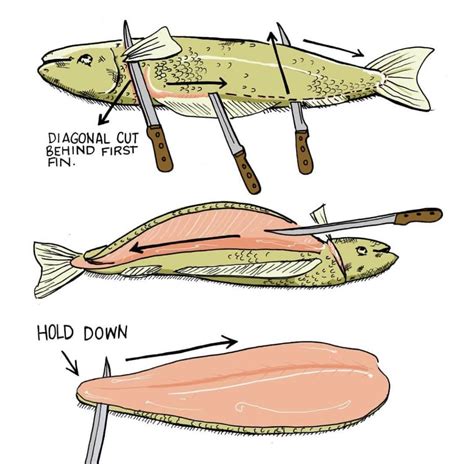 Quick and dirty guide to filleting. : coolguides